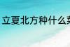立夏北方种什么菜 立夏北方种哪些菜