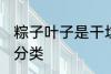 粽子叶子是干垃圾吗 粽子叶子的垃圾分类