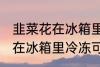 韭菜花在冰箱里冷冻能放多久 韭菜花在冰箱里冷冻可以放多长时间