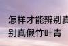 怎样才能辨别真假竹叶青 如何才能辨别真假竹叶青