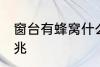 窗台有蜂窝什么兆头 窗台有蜂窝的征兆
