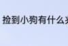 捡到小狗有什么兆头 捡到小狗的兆头
