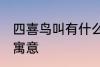 四喜鸟叫有什么兆头 四喜鸟叫有什么寓意