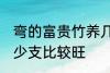 弯的富贵竹养几支最旺运 富贵竹养多少支比较旺