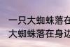 一只大蜘蛛落在身边有什么兆头 一只大蜘蛛落在身边的兆头有什么