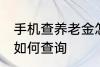 手机查养老金怎么查询 手机查养老金如何查询