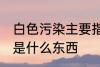 白色污染主要指的是什么 白色污染的是什么东西