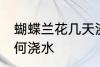 蝴蝶兰花几天浇一次水啊 蝴蝶兰花如何浇水