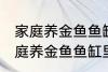 家庭养金鱼鱼缸里放什么水草好呢 家庭养金鱼鱼缸里放哪种水草好呢