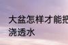 大盆怎样才能把花浇透水呢 如何给花浇透水