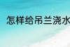 怎样给吊兰浇水 要如何给吊兰浇水