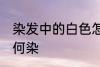染发中的白色怎么染 染发中的白色如何染
