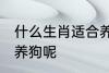 什么生肖适合养狗 到底哪些生肖适合养狗呢