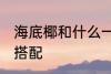 海底椰和什么一起煲汤好 海底椰煲汤搭配