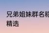 兄弟姐妹群名称大全 兄弟姐妹群名称精选