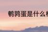 鹌鹑蛋是什么样的 鹌鹑蛋的介绍