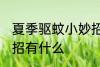夏季驱蚊小妙招有哪些 夏季驱蚊小妙招有什么