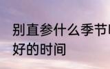 别直参什么季节吃最好 别直参食用最好的时间