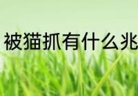 被猫抓有什么兆头 被猫抓兆头好不好