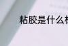 粘胶是什么材质 粘胶的简介