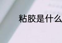 粘胶是什么材质 粘胶的简介