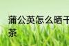 蒲公英怎么晒干做成茶 怎样做蒲公英茶