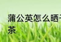 蒲公英怎么晒干做成茶 怎样做蒲公英茶