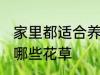 家里都适合养什么花草 家里都适合养哪些花草