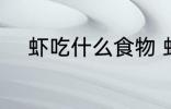 虾吃什么食物 虾吃什么食物长大