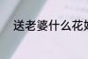 送老婆什么花好 送老婆哪些花好