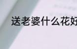 送老婆什么花好 送老婆哪些花好