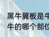 黑牛翼板是牛哪个部位的肉 翼板肉是牛的哪个部位