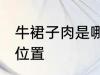 牛裙子肉是哪个部位 牛裙子肉是哪个位置