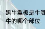 黑牛翼板是牛哪个部位的肉 翼板肉是牛的哪个部位