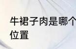 牛裙子肉是哪个部位 牛裙子肉是哪个位置