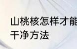 山桃核怎样才能清洗干净 山桃核清洗干净方法