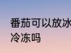 番茄可以放冰箱冷冻吗 番茄能放冰箱冷冻吗
