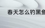 春天怎么钓黑鱼 春天如何钓黑鱼