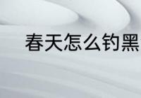 春天怎么钓黑鱼 春天如何钓黑鱼