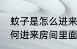蚊子是怎么进来房间里面的 蚊子是如何进来房间里面的
