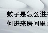 蚊子是怎么进来房间里面的 蚊子是如何进来房间里面的