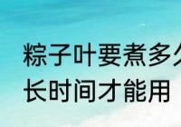 粽子叶要煮多久才能用 粽子叶要煮多长时间才能用