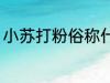 小苏打粉俗称什么 关于小苏打粉俗称