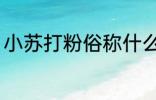 小苏打粉俗称什么 关于小苏打粉俗称