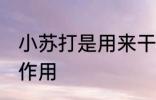小苏打是用来干什么的 小苏打有什么作用