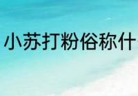 小苏打粉俗称什么 关于小苏打粉俗称
