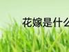 花嫁是什么意思 花嫁的意思