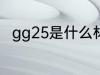 gg25是什么材质 gg25是哪种材质