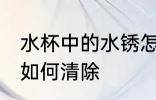 水杯中的水锈怎么处理 水杯中的水锈如何清除