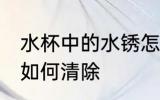 水杯中的水锈怎么处理 水杯中的水锈如何清除